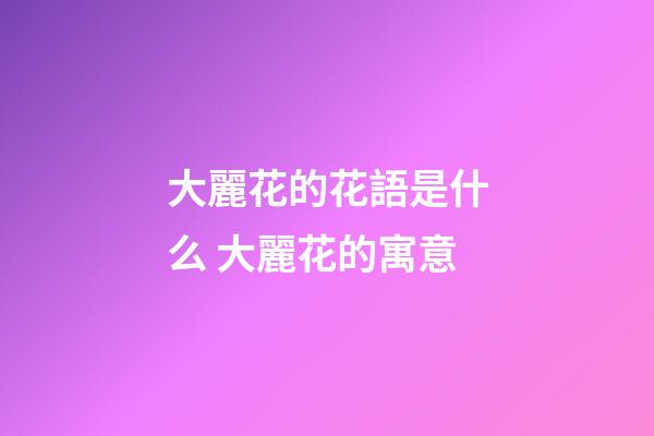 大麗花的花語是什么 大麗花的寓意